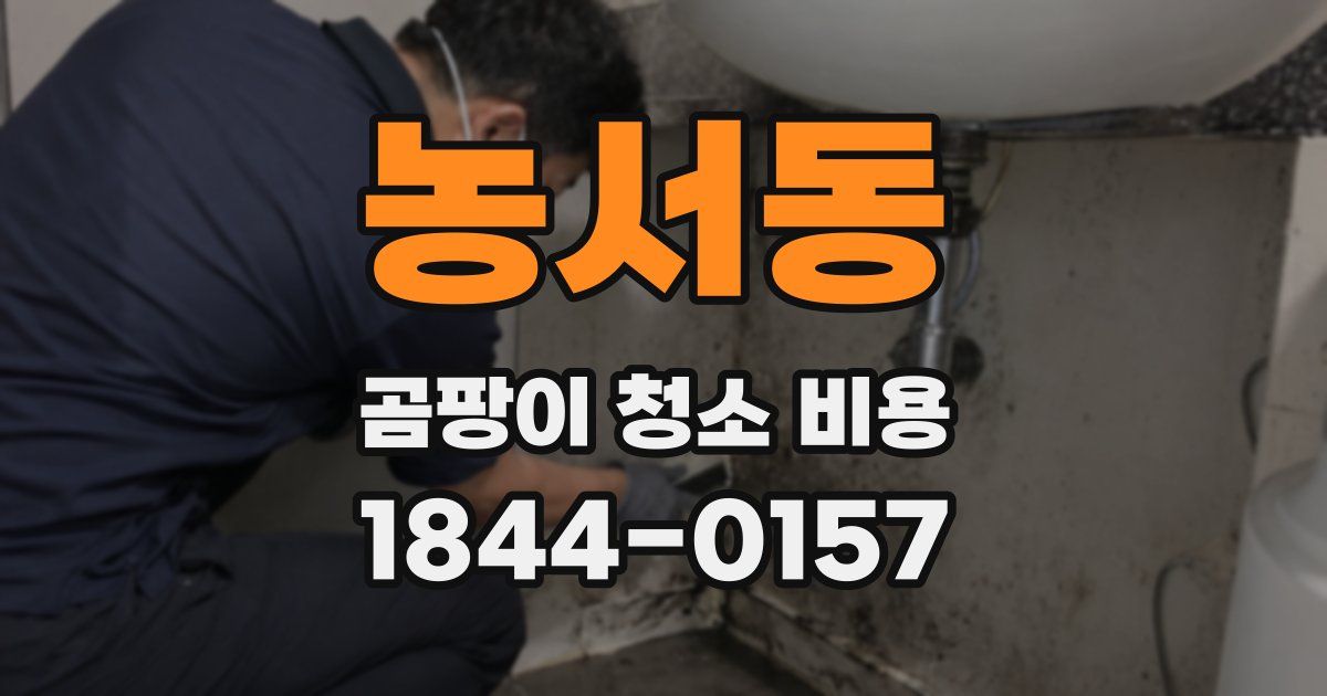 농서동 곰팡이 청소 비용