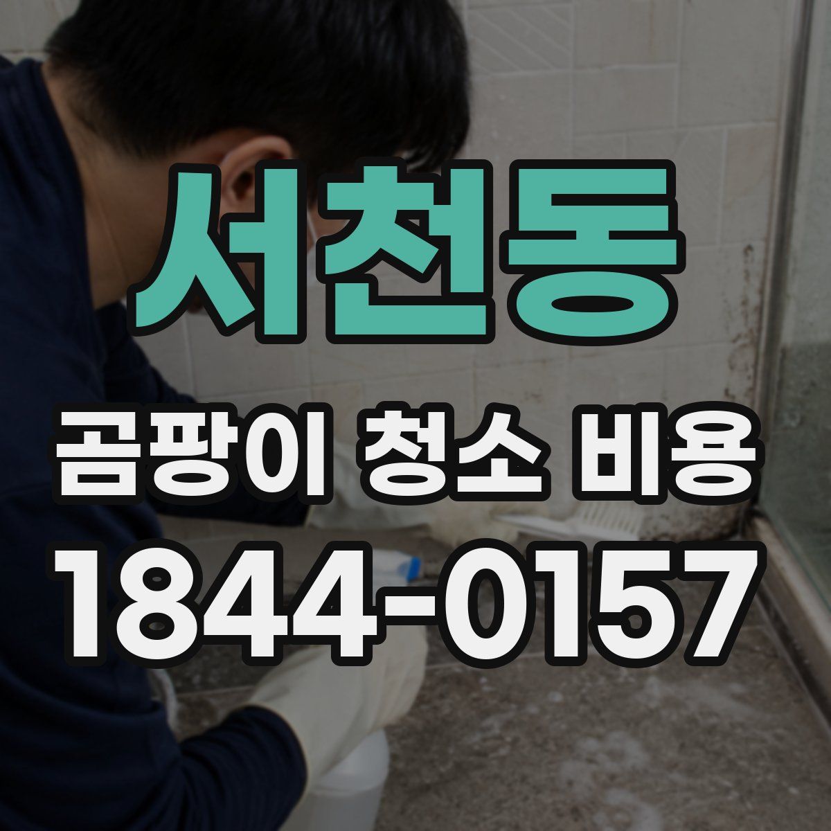 서천동 곰팡이 청소 비용