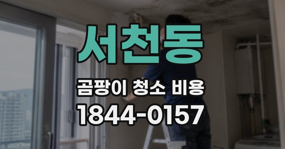서천동 곰팡이 청소 비용