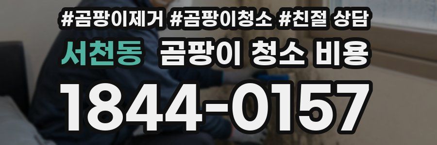 서천동 곰팡이 청소 비용