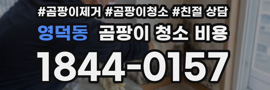 영덕동 곰팡이 청소 비용