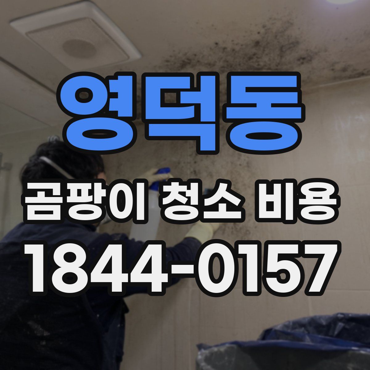 영덕동 곰팡이 청소 비용
