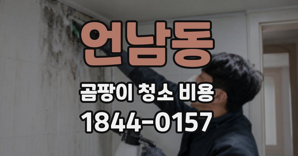 언남동 곰팡이 청소 비용
