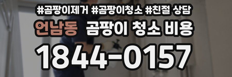 언남동 곰팡이 청소 비용