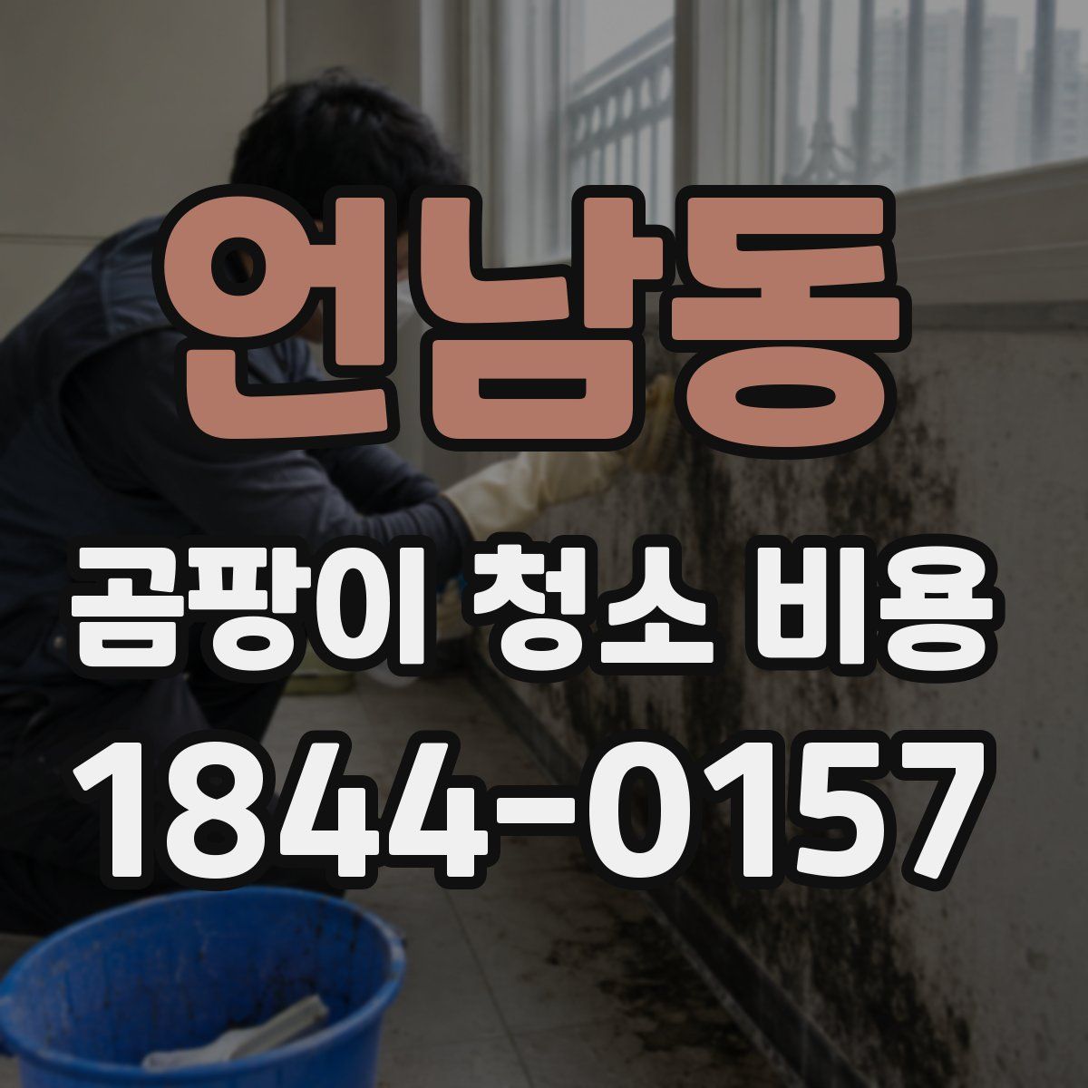 언남동 곰팡이 청소 비용
