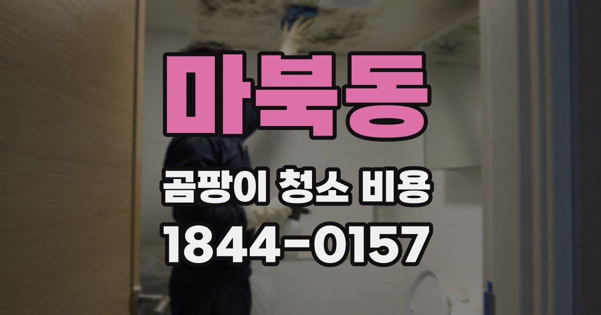 마북동 곰팡이 청소 비용