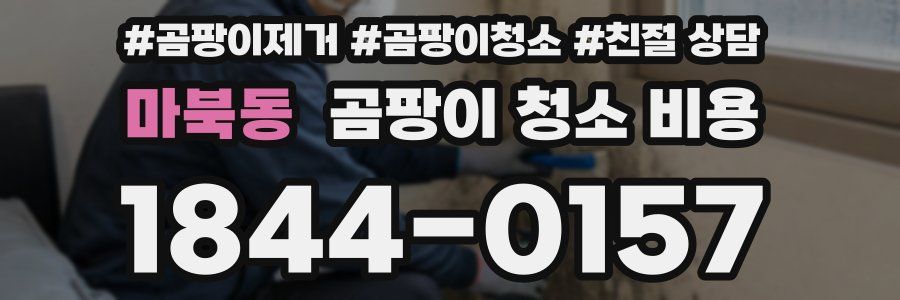 마북동 곰팡이 청소 비용