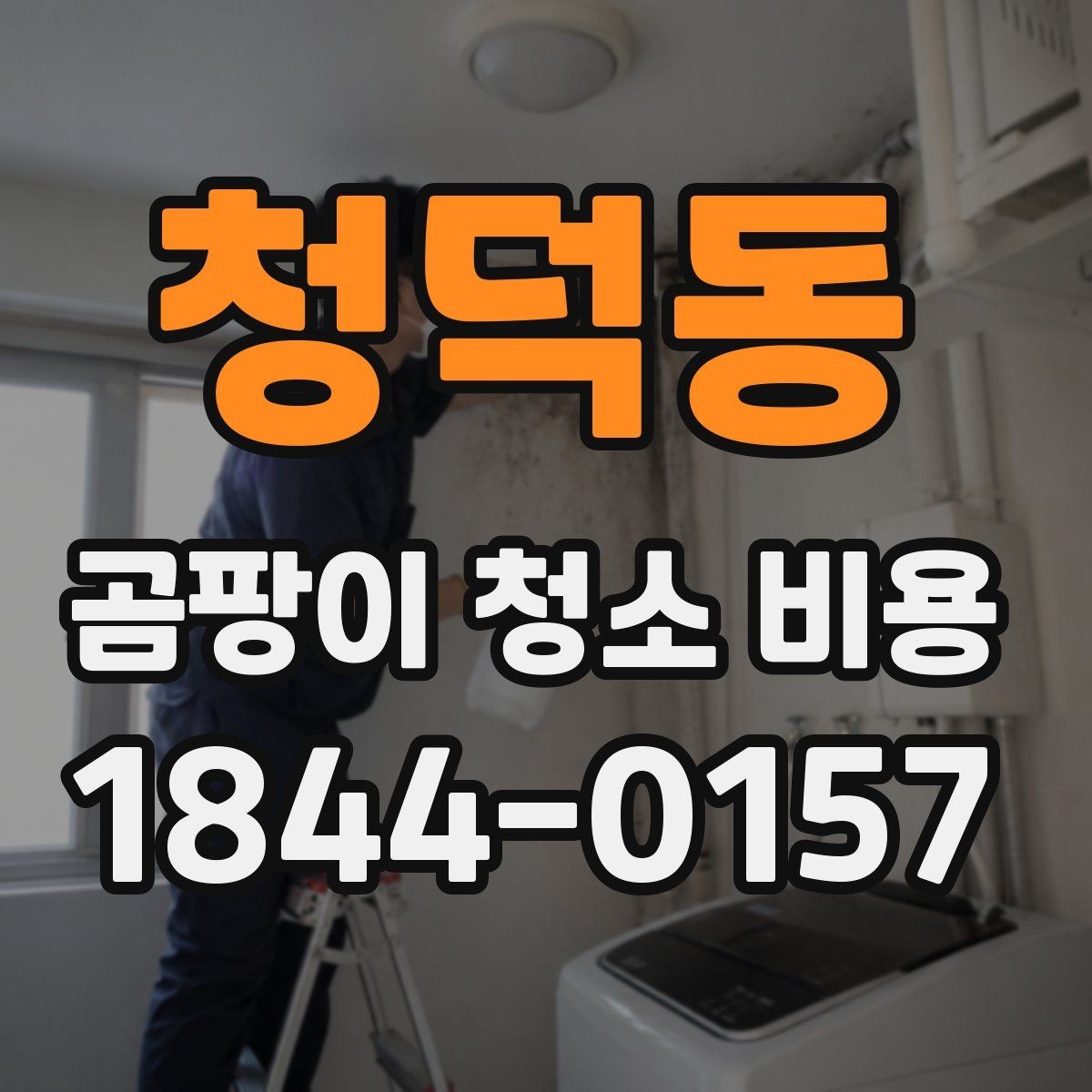 청덕동 곰팡이 청소 비용 상담 전 확인해야 할 항목