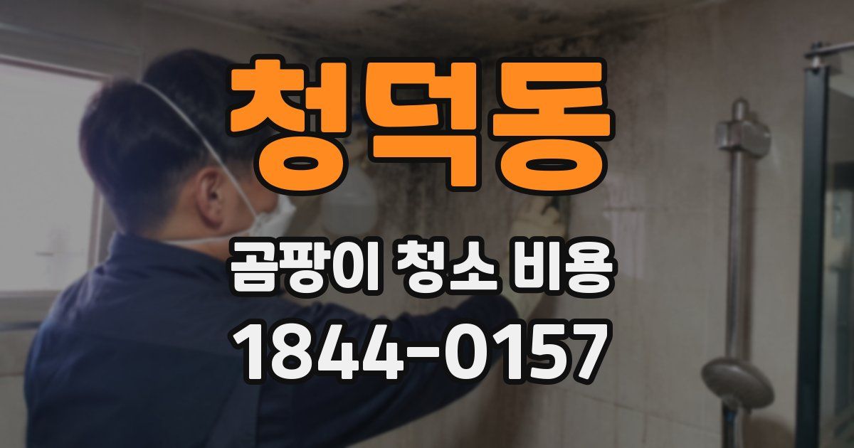 청덕동 곰팡이 청소 비용