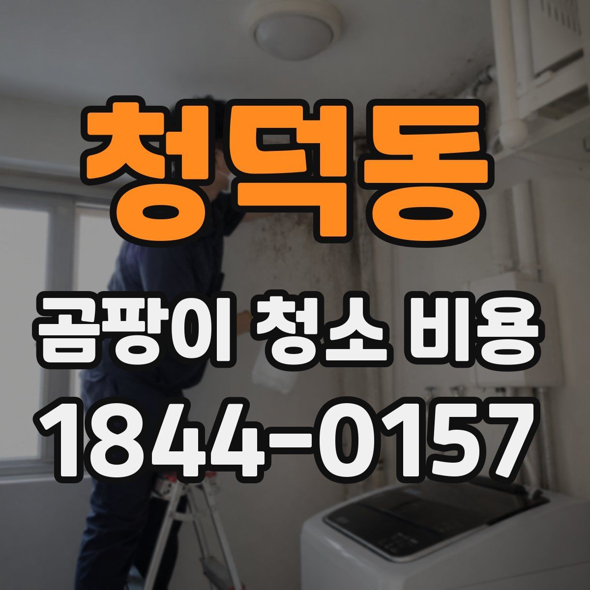 청덕동 곰팡이 청소 비용