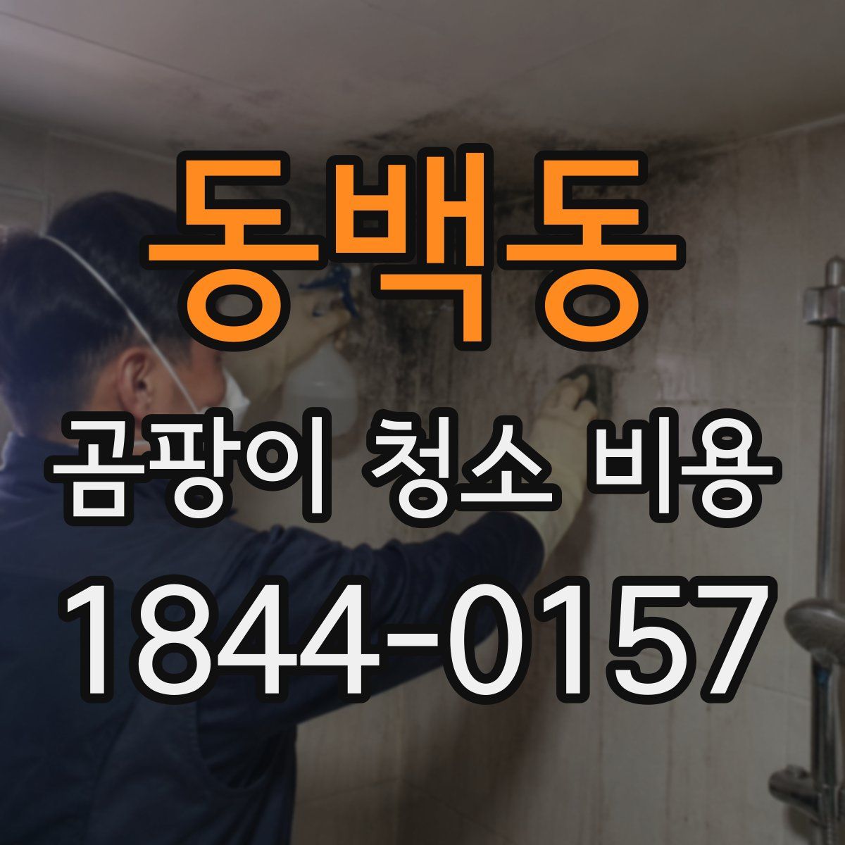 동백동 곰팡이 청소 비용