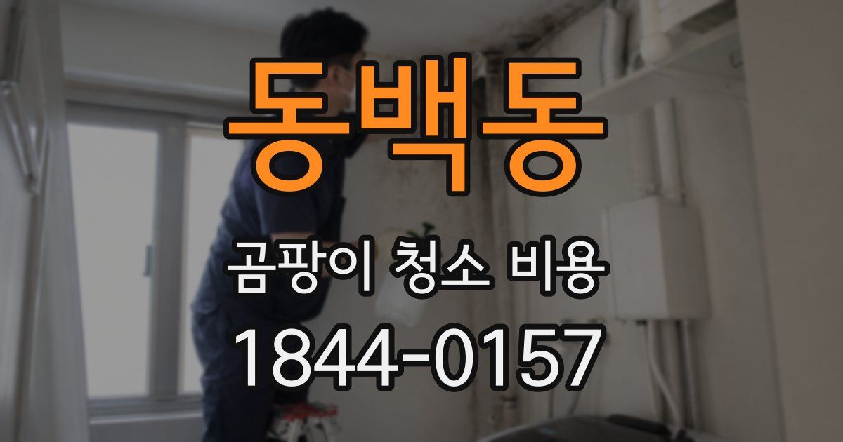 동백동 곰팡이 청소 비용
