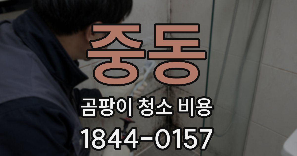 중동 곰팡이 청소 비용
