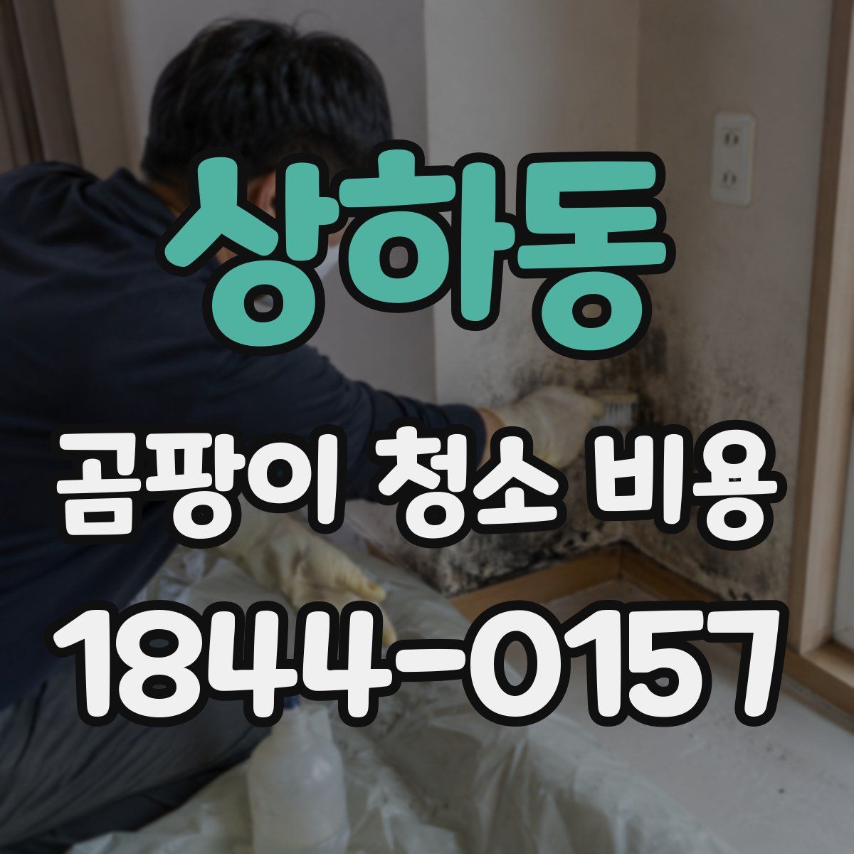 상하동 곰팡이 청소 비용
