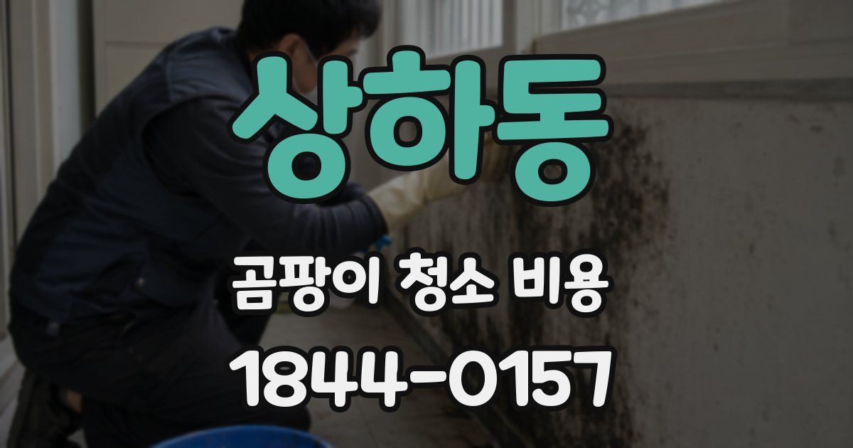 상하동 곰팡이 청소 비용