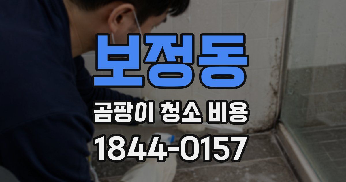 보정동 곰팡이 청소 비용