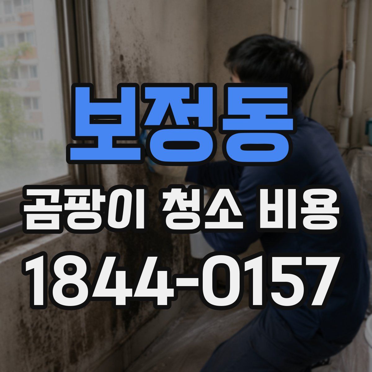 보정동 곰팡이 청소 비용