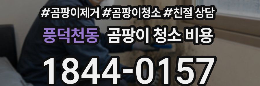 풍덕천동 곰팡이 청소 비용