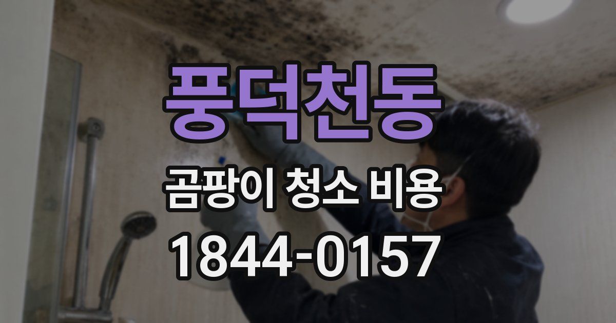 풍덕천동 곰팡이 청소 비용