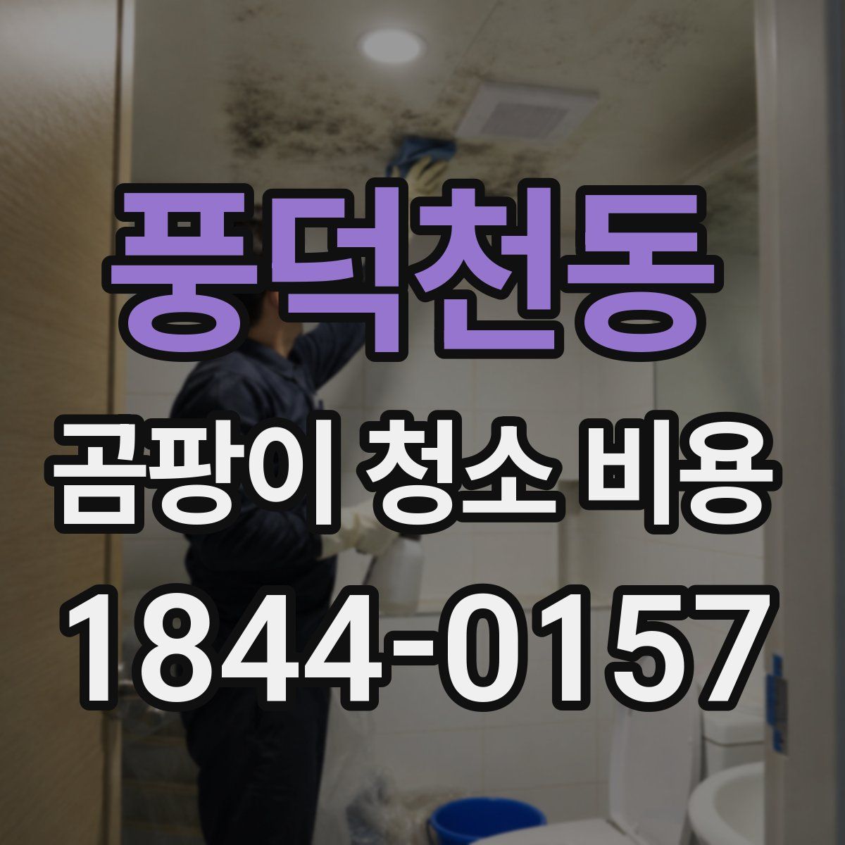 풍덕천동 곰팡이 청소 비용