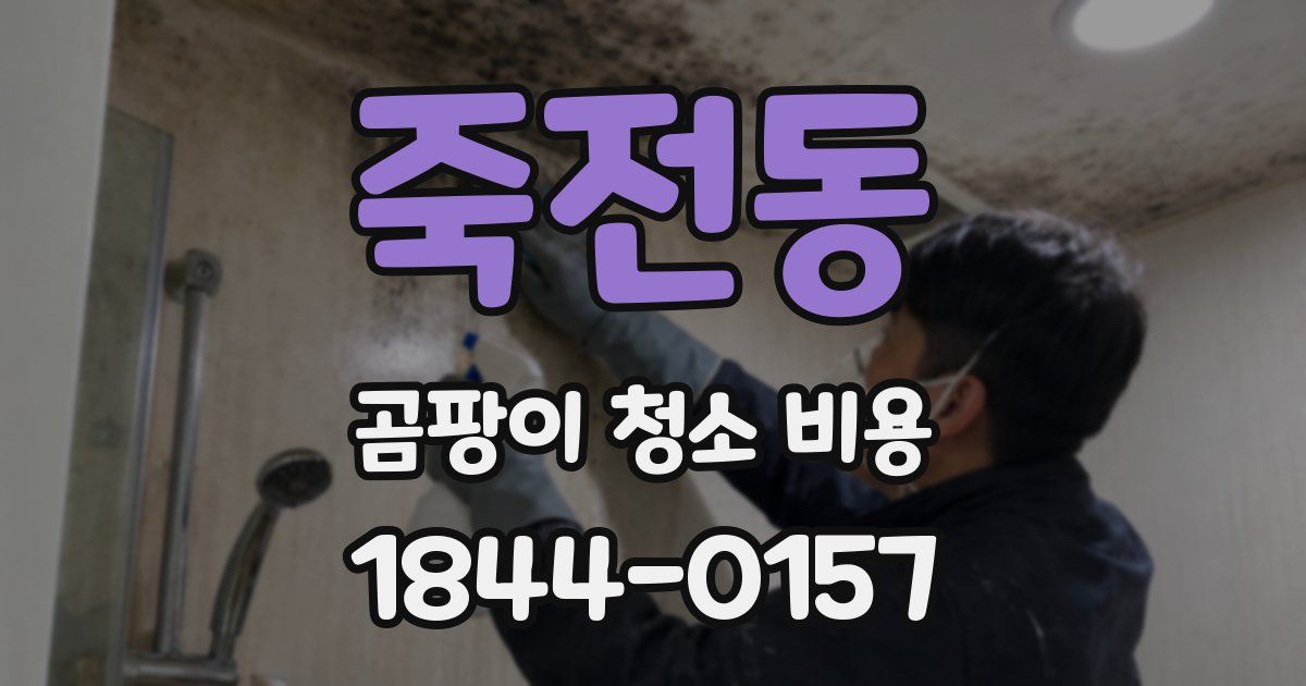 죽전동 곰팡이 청소 비용