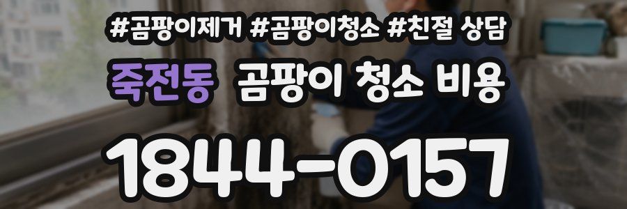 죽전동 곰팡이 청소 비용