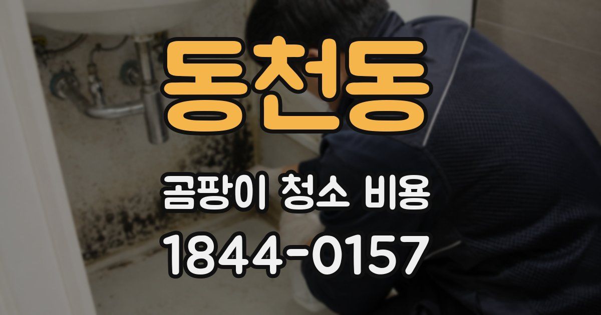 동천동 곰팡이 청소 비용