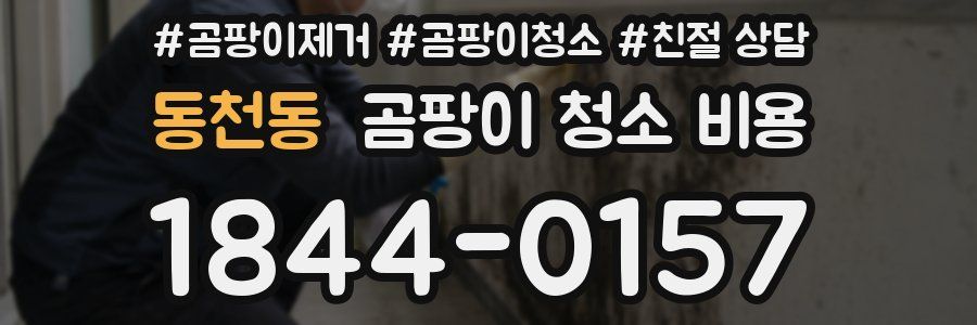동천동 곰팡이 청소 비용