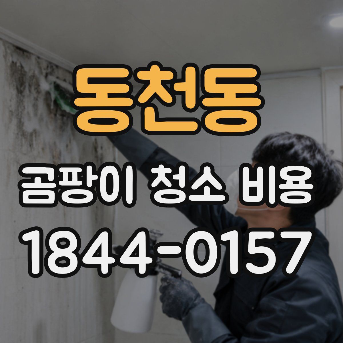 동천동 곰팡이 청소 비용
