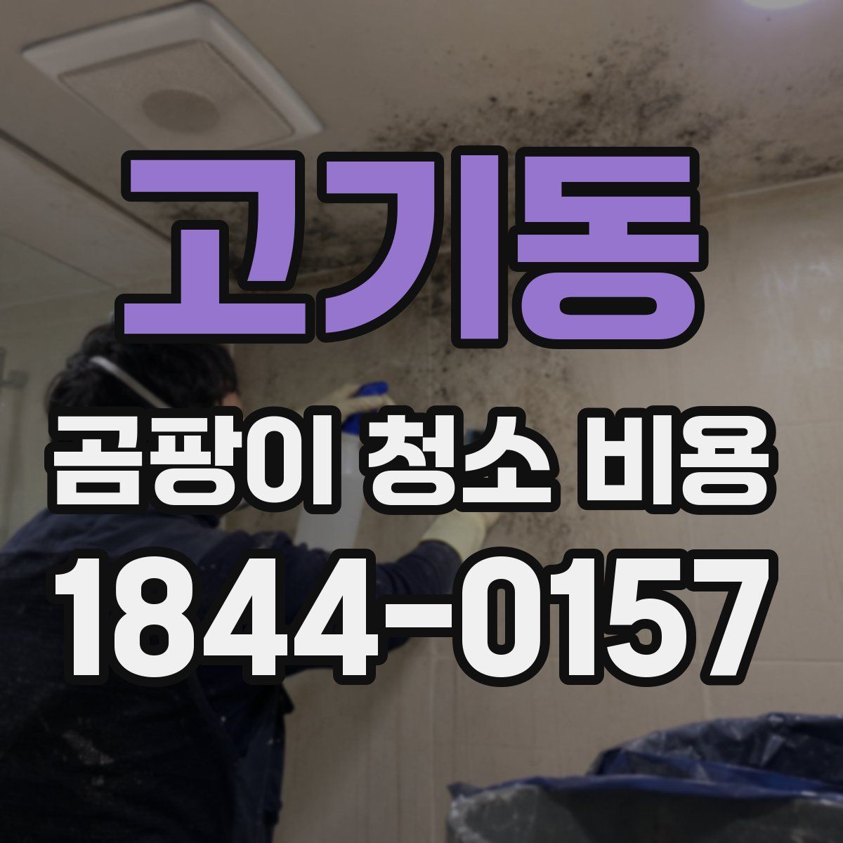 고기동 곰팡이 청소 비용