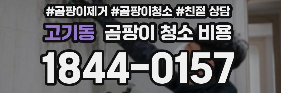 고기동 곰팡이 청소 비용