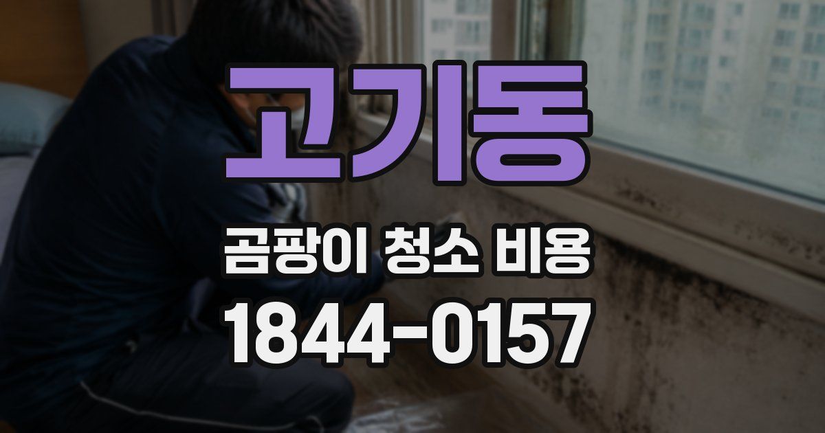 고기동 곰팡이 청소 비용