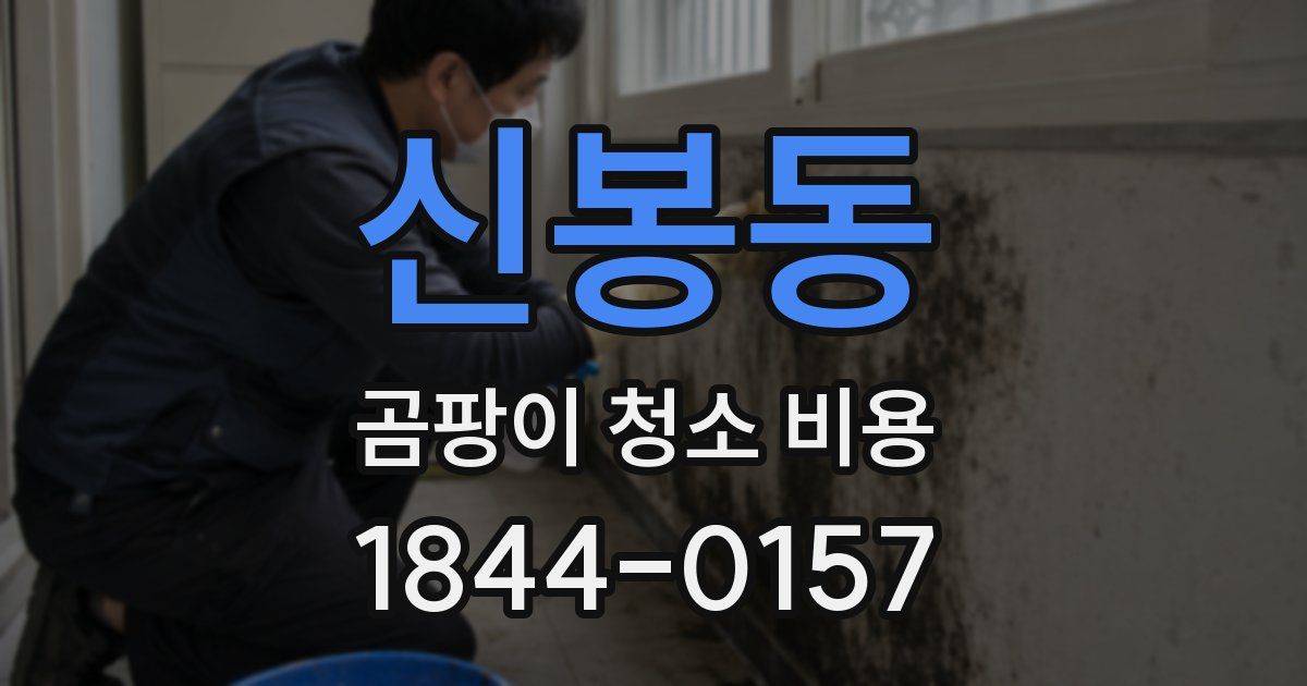 신봉동 곰팡이 청소 비용
