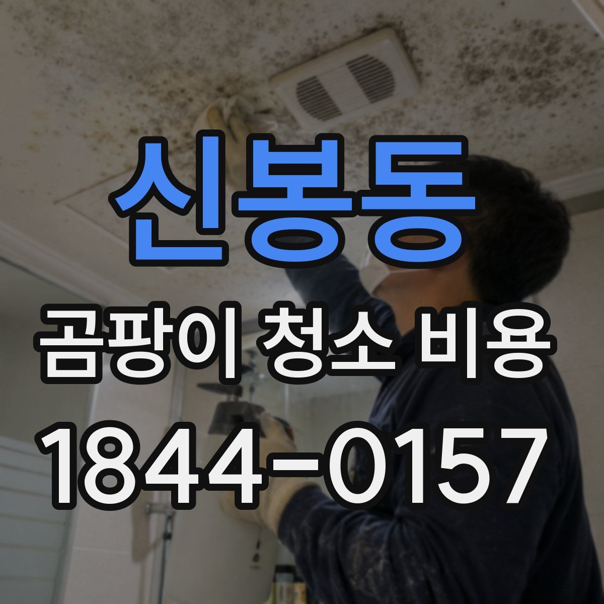 신봉동 곰팡이 청소 비용