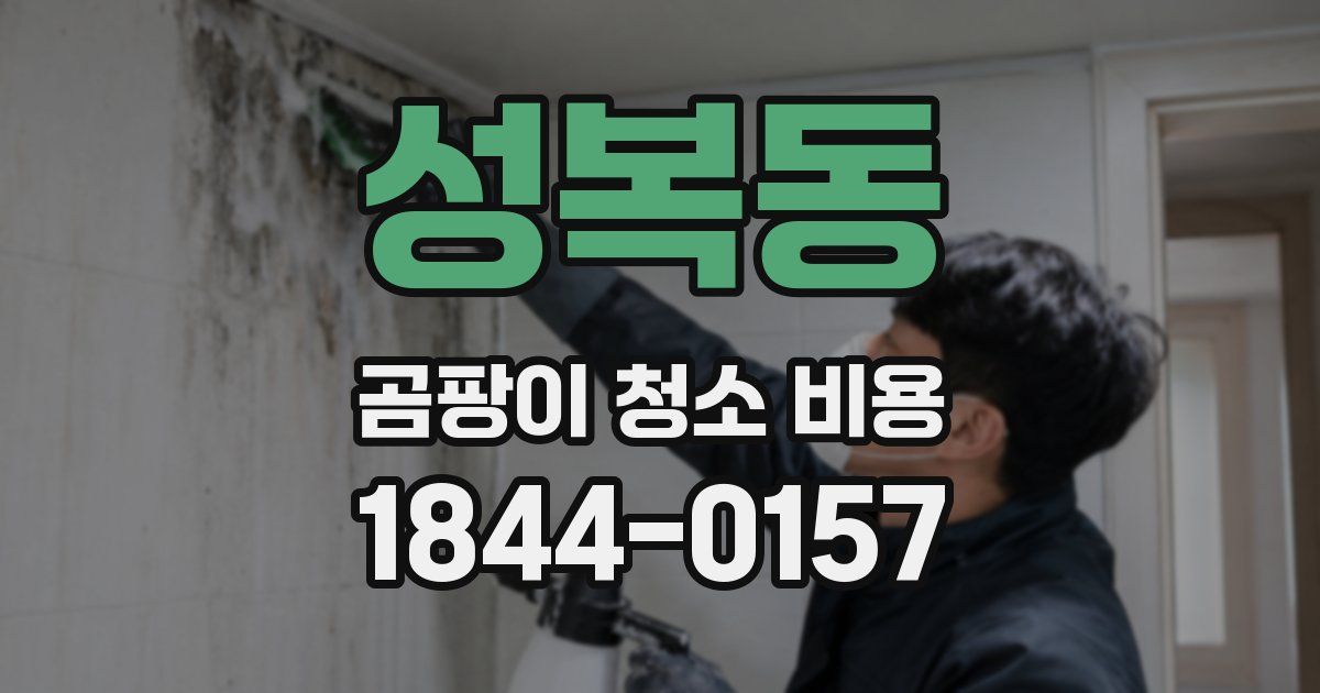 성복동 곰팡이 청소 비용