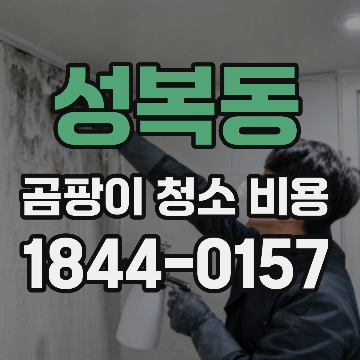 성복동 곰팡이 청소 비용