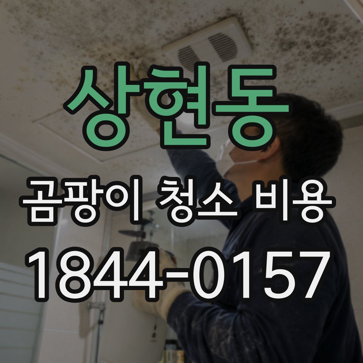 상현동 곰팡이 청소 비용