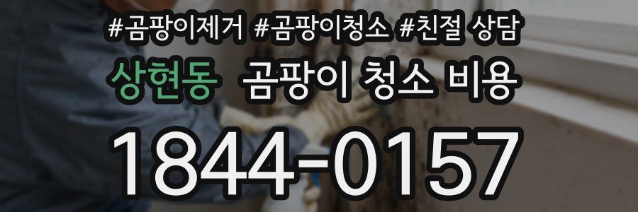 상현동 곰팡이 청소 비용