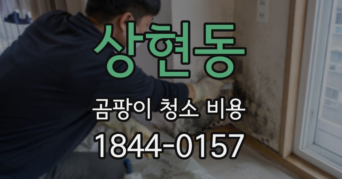 상현동 곰팡이 청소 비용