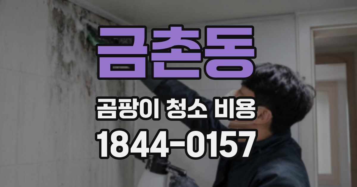 금촌동 곰팡이 청소 비용