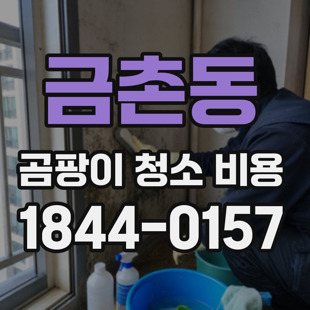 금촌동 곰팡이 청소 비용