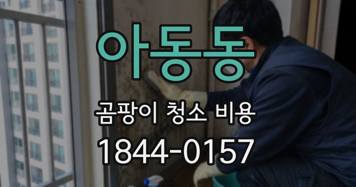 아동동 곰팡이 청소 비용