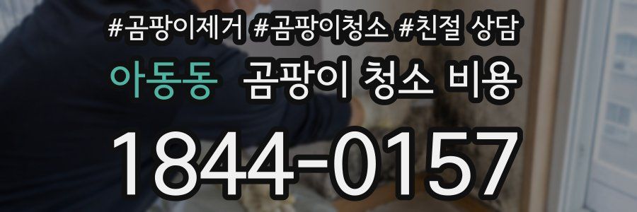 아동동 곰팡이 청소 비용