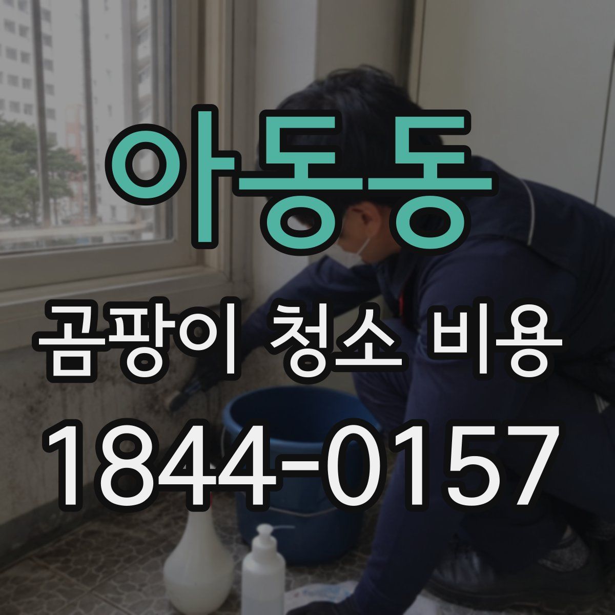 아동동 곰팡이 청소 비용