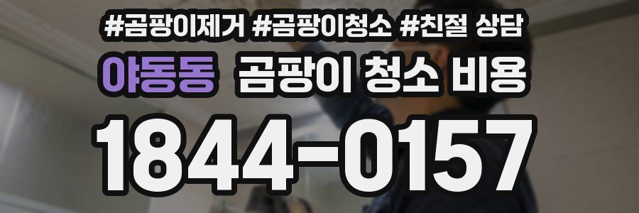 야동동 곰팡이 청소 비용