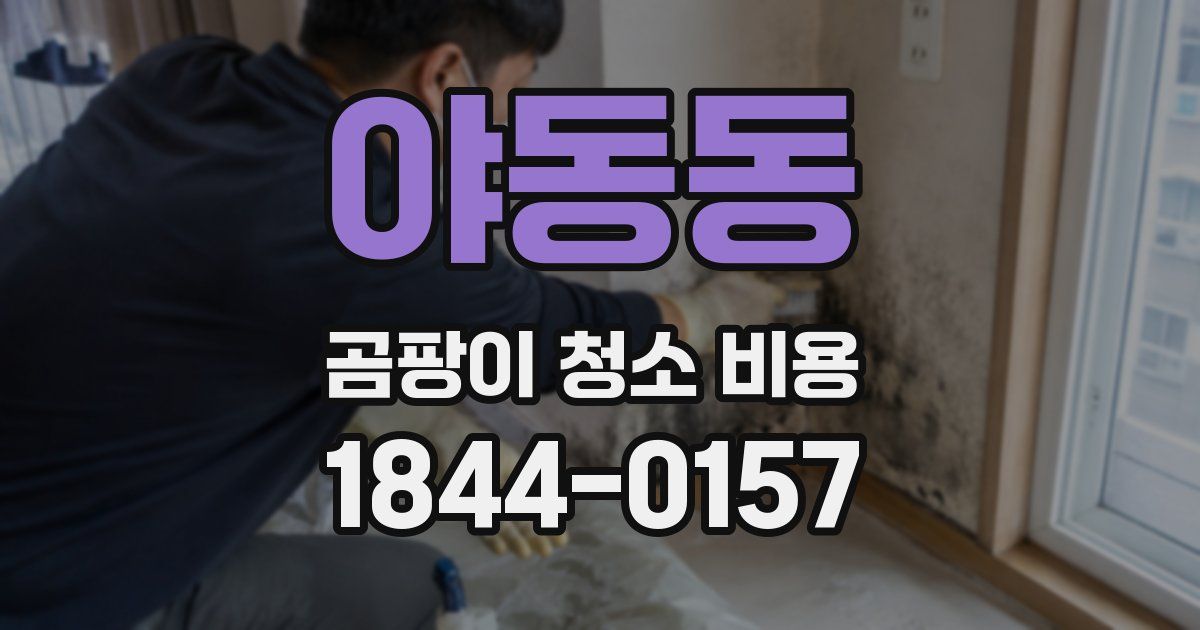 야동동 곰팡이 청소 비용