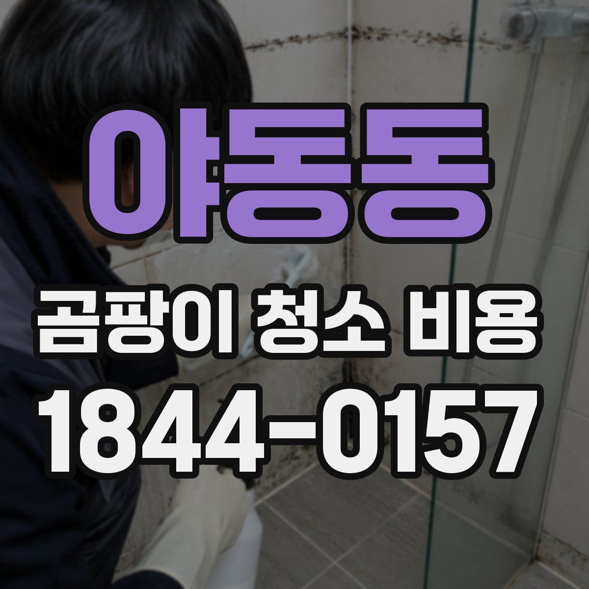 야동동 곰팡이 청소 비용