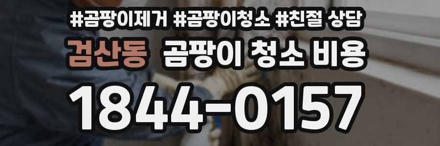 검산동 곰팡이 청소 비용