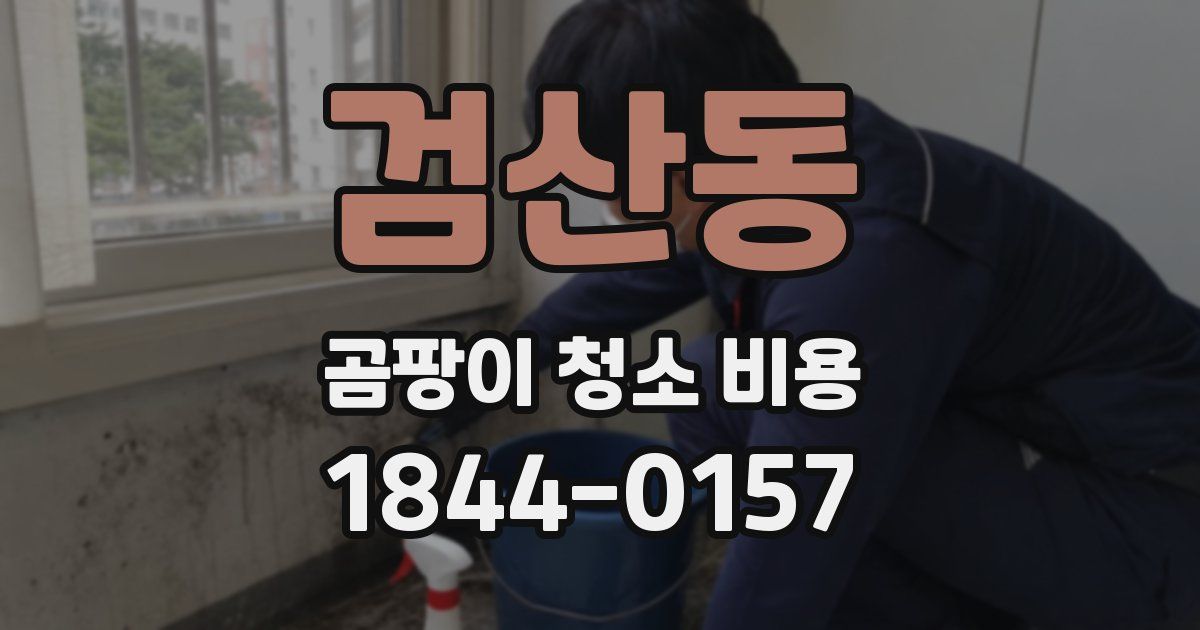 검산동 곰팡이 청소 비용