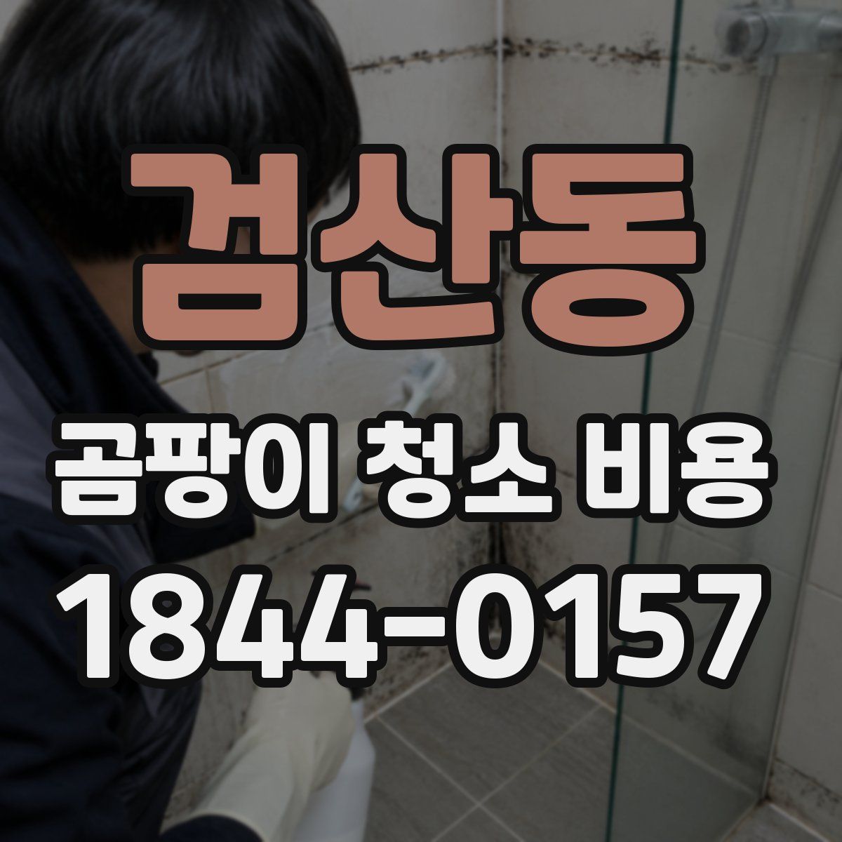 검산동 곰팡이 청소 비용